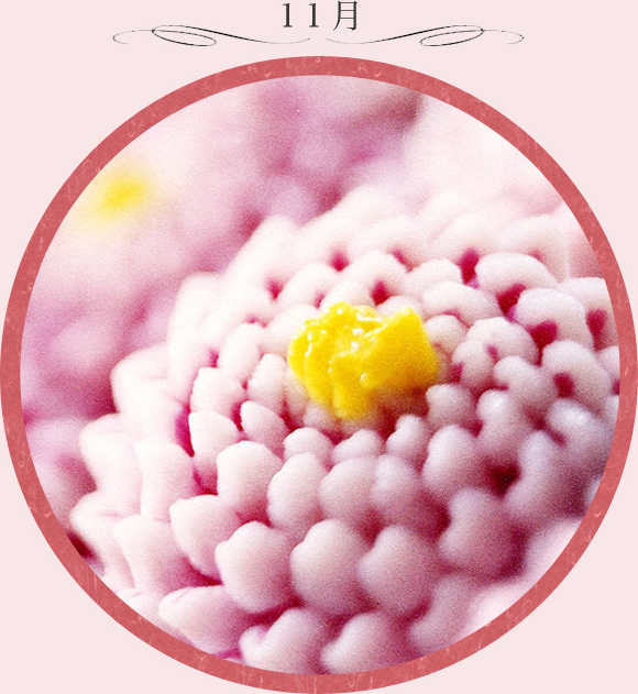 11月